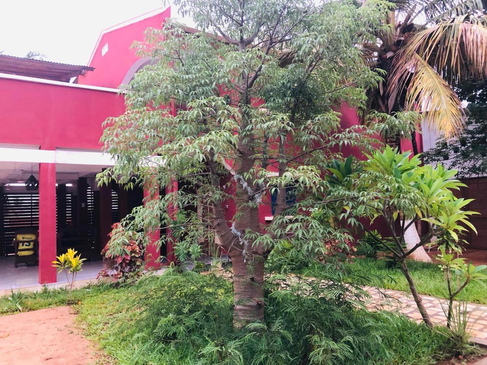 Bed and Breakfast Bohobe Naboty Toliara Exterior foto