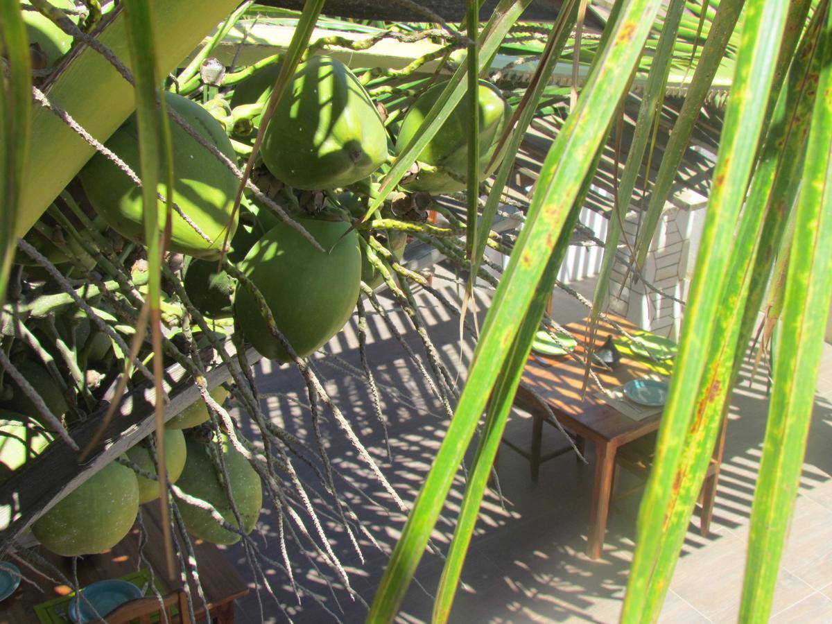 Bed and Breakfast Bohobe Naboty Toliara Exterior foto